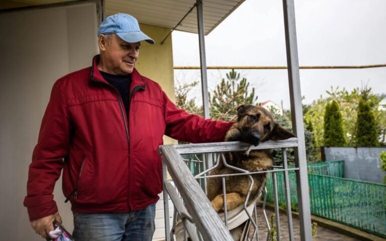 У Дніпрі вівчарка врятувала своїх господарів від російської ракети